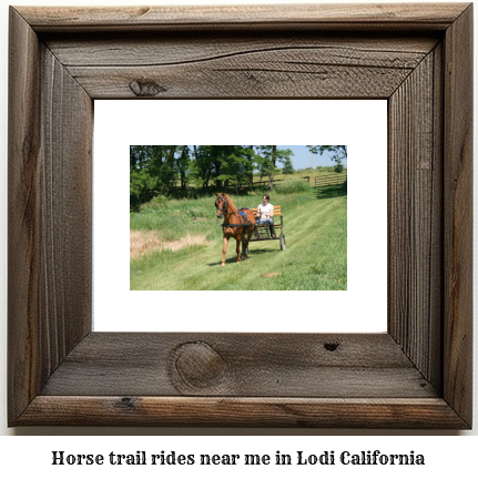 horse trail rides near me in Lodi, California